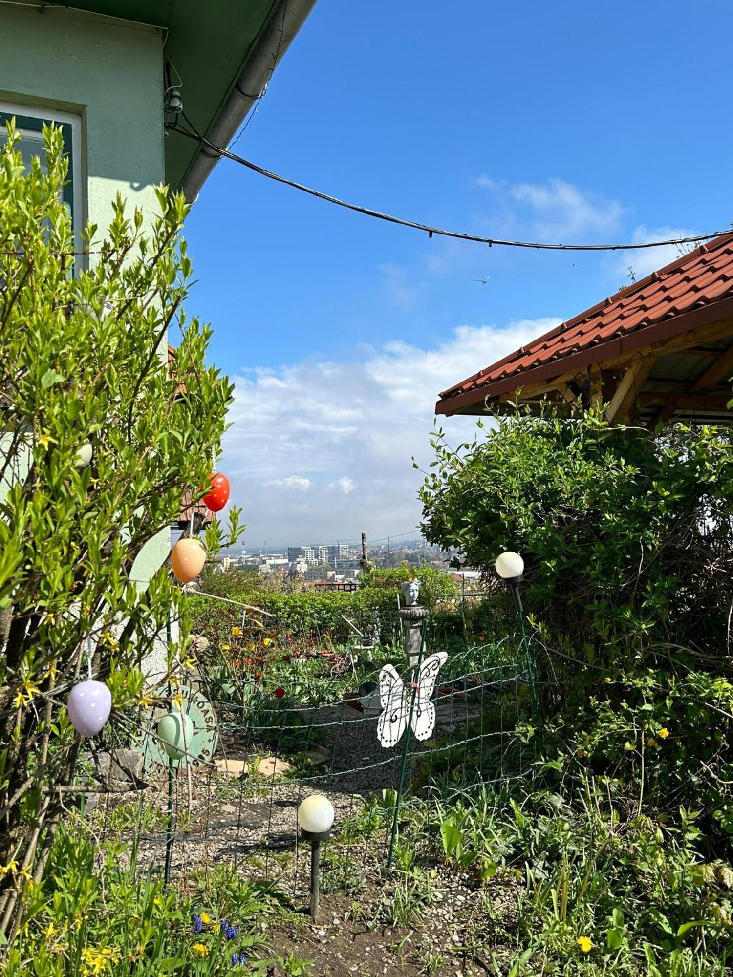 בראשוב Villa Kuschmann מראה חיצוני תמונה